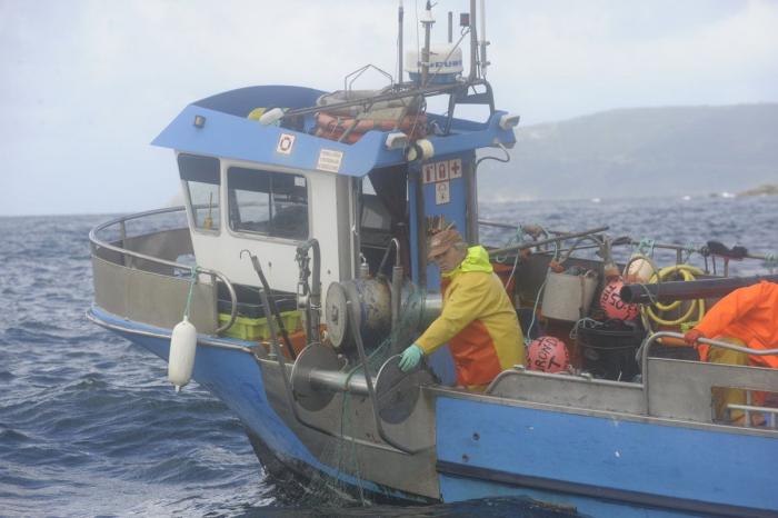 Anisakis: qué es, cómo afecta a la salud y en qué pescados anida el parásito