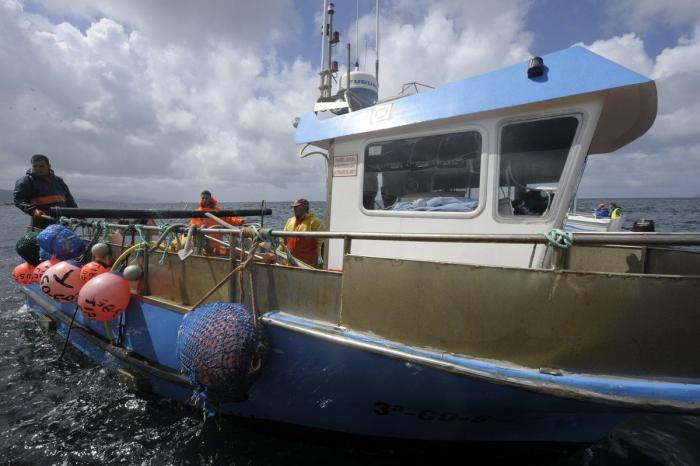 Anisakis: qué es, cómo afecta a la salud y en qué pescados anida el parásito