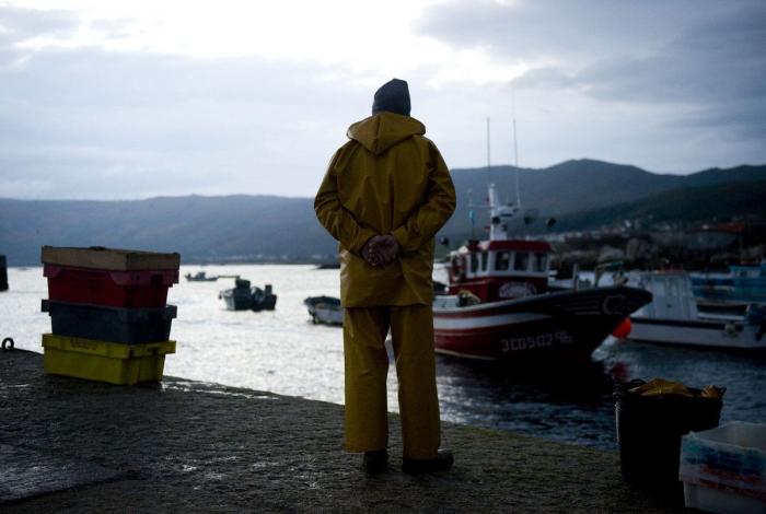 Anisakis: qué es, cómo afecta a la salud y en qué pescados anida el parásito