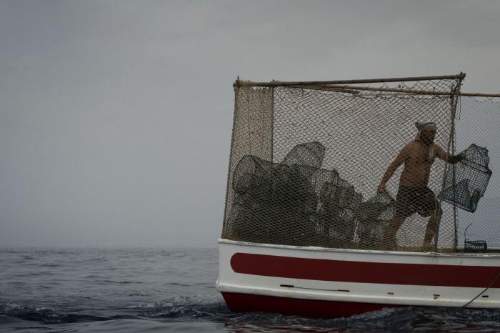 Anisakis: qué es, cómo afecta a la salud y en qué pescados anida el parásito