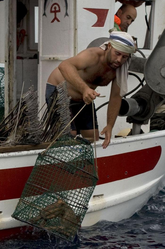 Anisakis: qué es, cómo afecta a la salud y en qué pescados anida el parásito