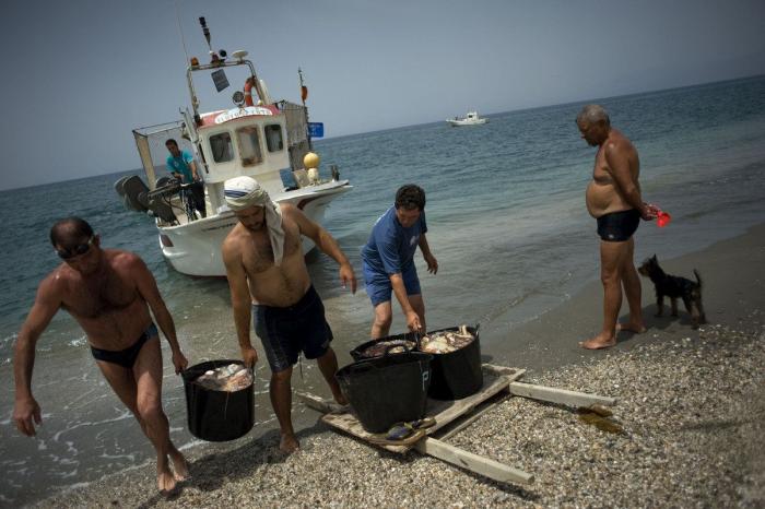 Anisakis: qué es, cómo afecta a la salud y en qué pescados anida el parásito