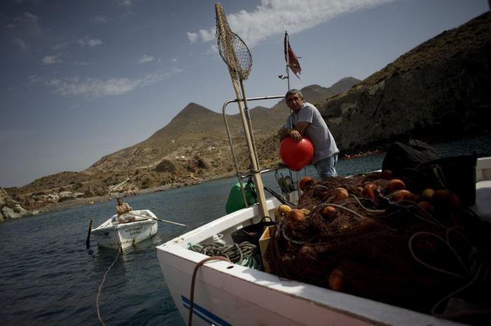 Anisakis: qué es, cómo afecta a la salud y en qué pescados anida el parásito