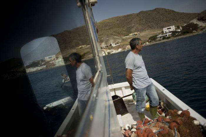 Anisakis: qué es, cómo afecta a la salud y en qué pescados anida el parásito