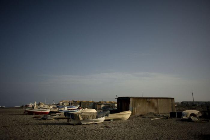 Anisakis: qué es, cómo afecta a la salud y en qué pescados anida el parásito