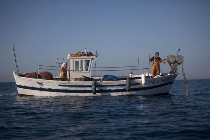 Anisakis: qué es, cómo afecta a la salud y en qué pescados anida el parásito