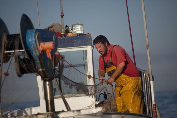 Anisakis: qué es, cómo afecta a la salud y en qué pescados anida el parásito