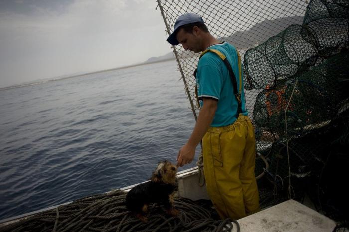 Anisakis: qué es, cómo afecta a la salud y en qué pescados anida el parásito