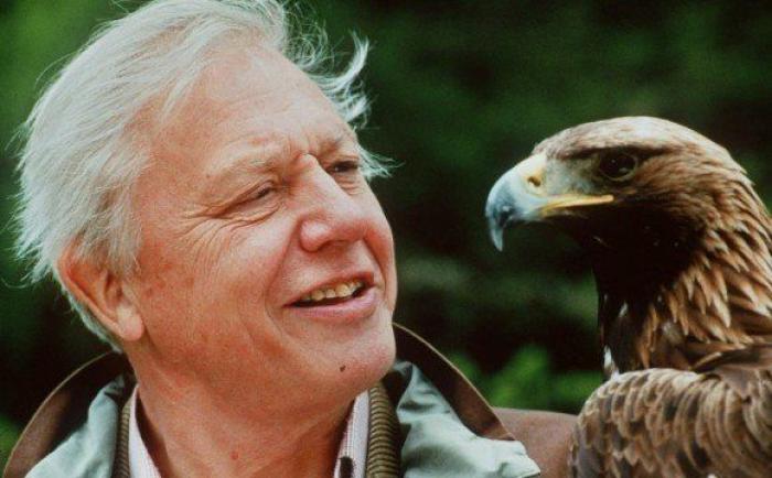 "Ataque de nostalgia": regresa 'Alta tensión' y lo que pasa en las redes era de esperar