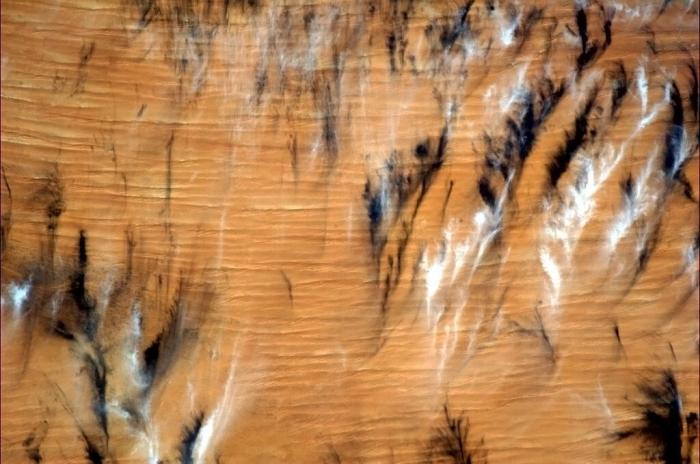 La nave Soyuz regresa a la Tierra: "Maravilloso oler y sentir la primavera" (FOTOS)