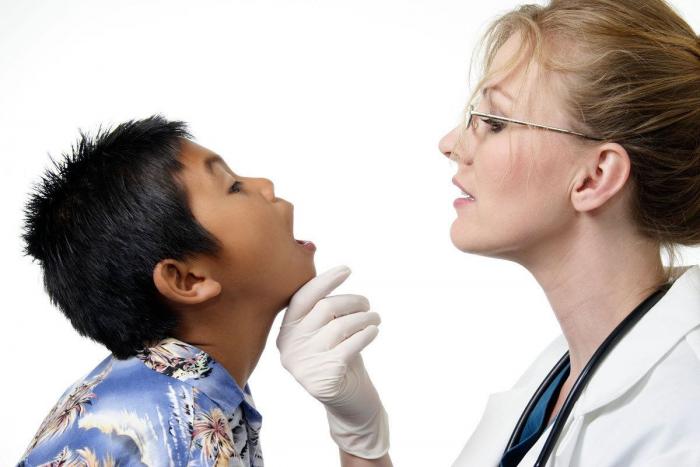 La nave Soyuz regresa a la Tierra: "Maravilloso oler y sentir la primavera" (FOTOS)