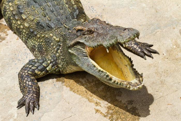 La nave Soyuz regresa a la Tierra: "Maravilloso oler y sentir la primavera" (FOTOS)