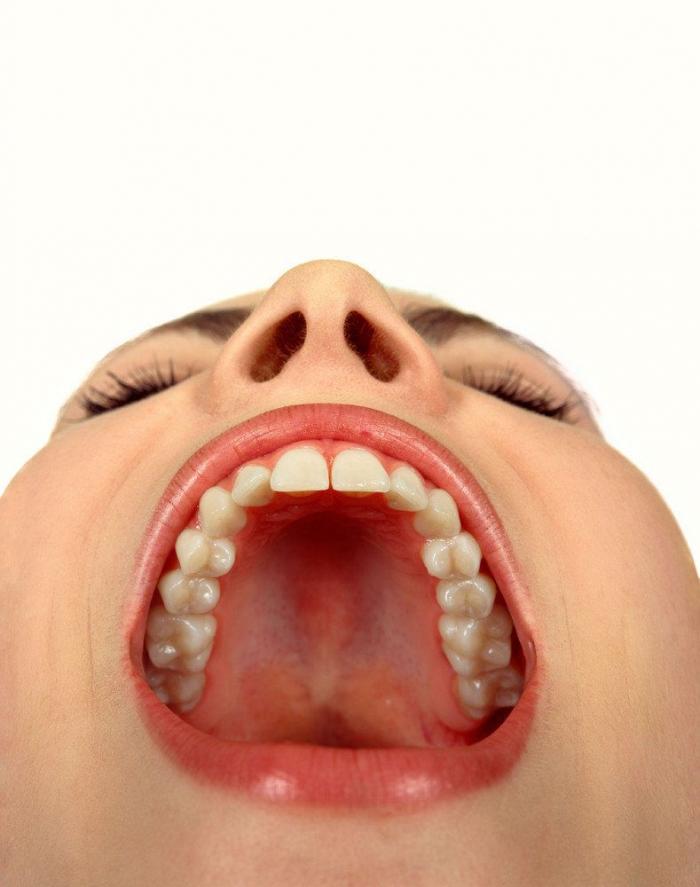 La nave Soyuz regresa a la Tierra: "Maravilloso oler y sentir la primavera" (FOTOS)