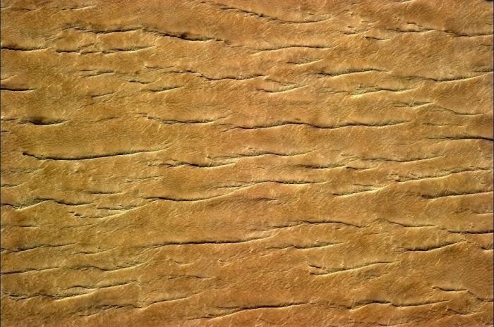 La nave Soyuz regresa a la Tierra: "Maravilloso oler y sentir la primavera" (FOTOS)