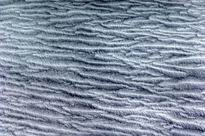 La nave Soyuz regresa a la Tierra: "Maravilloso oler y sentir la primavera" (FOTOS)