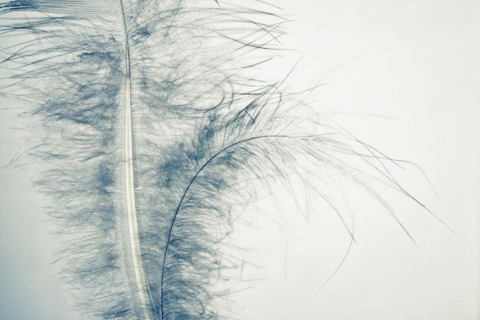 La nave Soyuz regresa a la Tierra: "Maravilloso oler y sentir la primavera" (FOTOS)