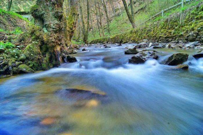 Nueve motivos por los que querrás viajar a Alemania ya mismo (FOTOS)