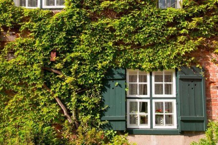 Nueve motivos por los que querrás viajar a Alemania ya mismo (FOTOS)