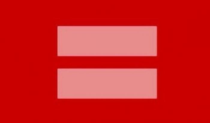 Un "gimnasta" japonés, un potro y una hipnótica ilusión optica (VÍDEO)