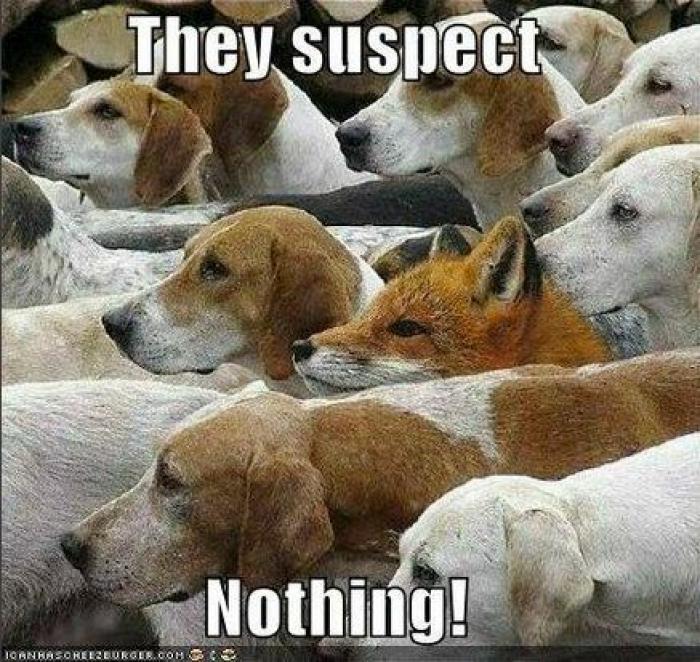 Un "gimnasta" japonés, un potro y una hipnótica ilusión optica (VÍDEO)