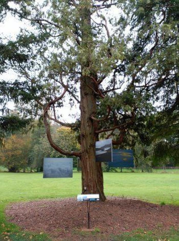 Le Mans en 24 horas: qué hacer, qué visitar y dónde comer