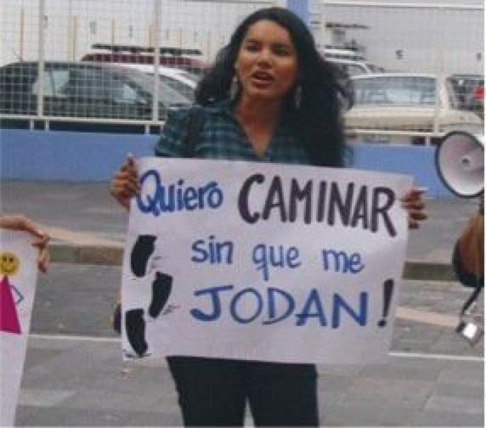 La delegada del Gobierno pide perdón al colectivo LGTB y dice que los nazis de la marcha la "engañaron"