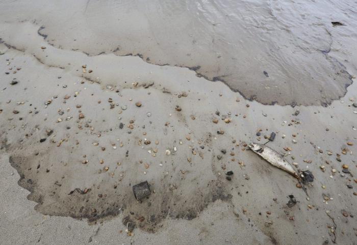 Playas que no dan ninguna envidia 2013 (FOTOS)