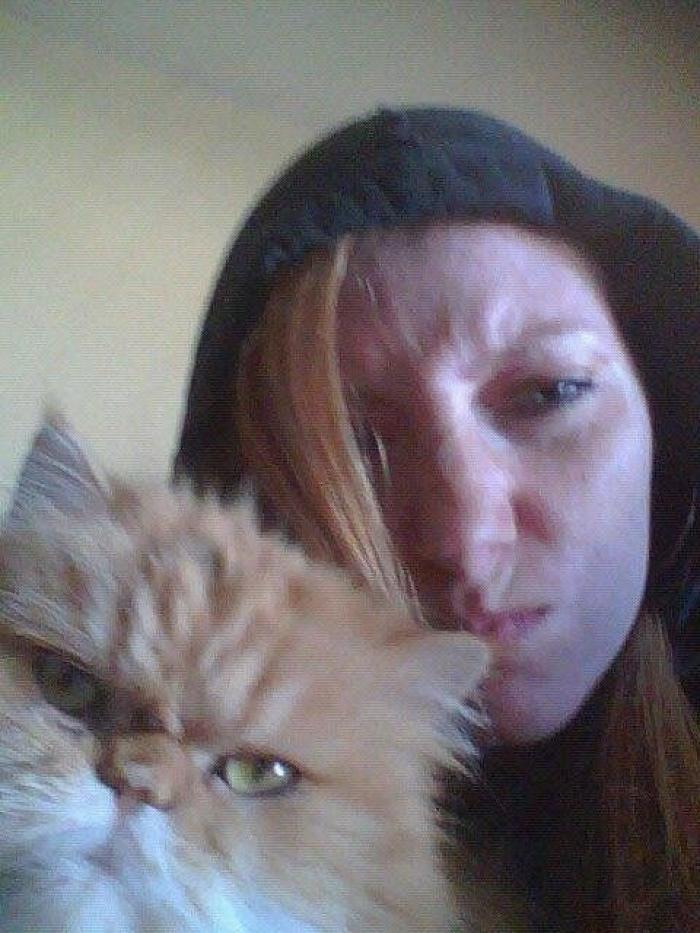 Hamilton, el gato que todos los hipsters querrían tener (FOTOS)