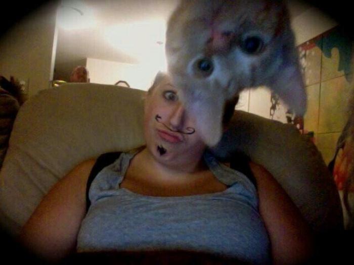 Hamilton, el gato que todos los hipsters querrían tener (FOTOS)