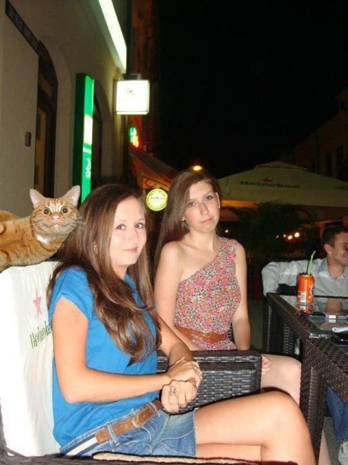 Hamilton, el gato que todos los hipsters querrían tener (FOTOS)