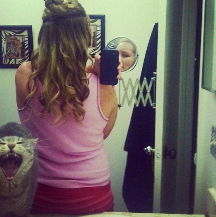 Hamilton, el gato que todos los hipsters querrían tener (FOTOS)