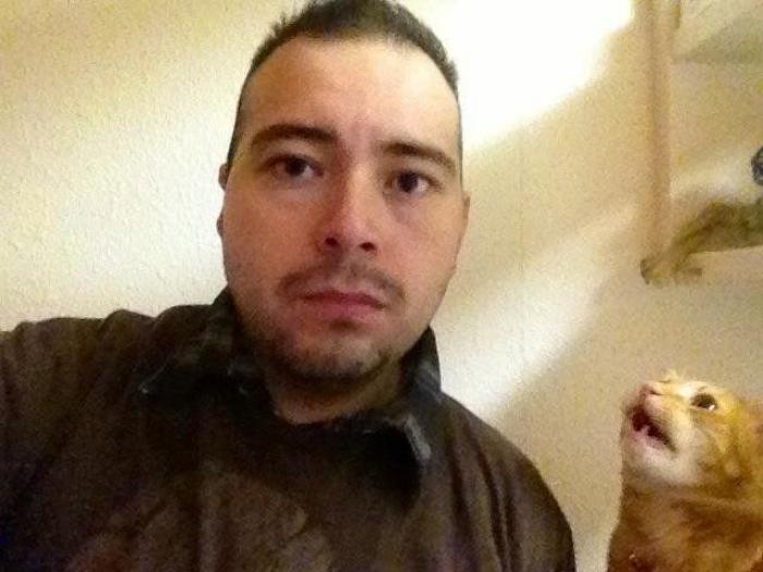 Hamilton, el gato que todos los hipsters querrían tener (FOTOS)