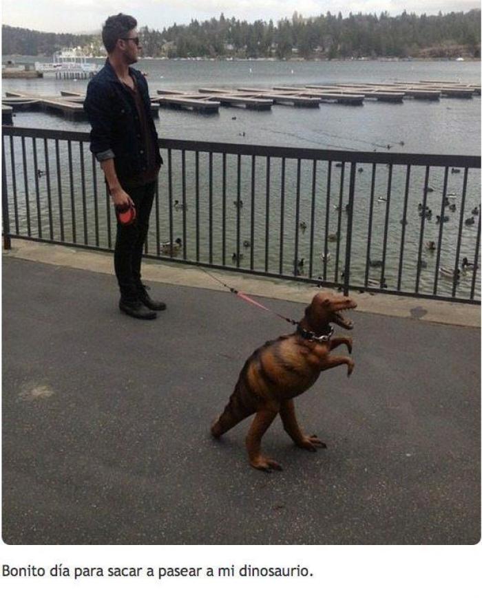 22 de esos Tumblrs molones que ha comprado Yahoo! (GIFS, FOTOS)