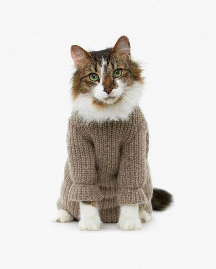 22 de esos Tumblrs molones que ha comprado Yahoo! (GIFS, FOTOS)