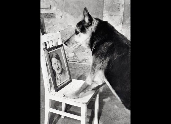 Amazon retoca el icono de su app tras las comparaciones con Hitler