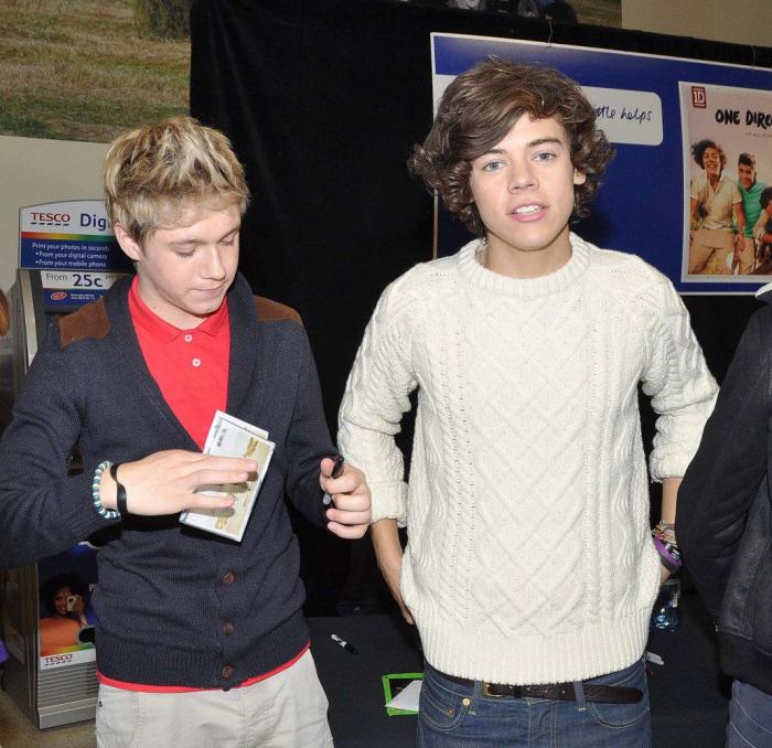 ENCUESTA: One Direction en España, ¿con cuál te quedas de los cinco? (VÍDEO Y FOTOS)