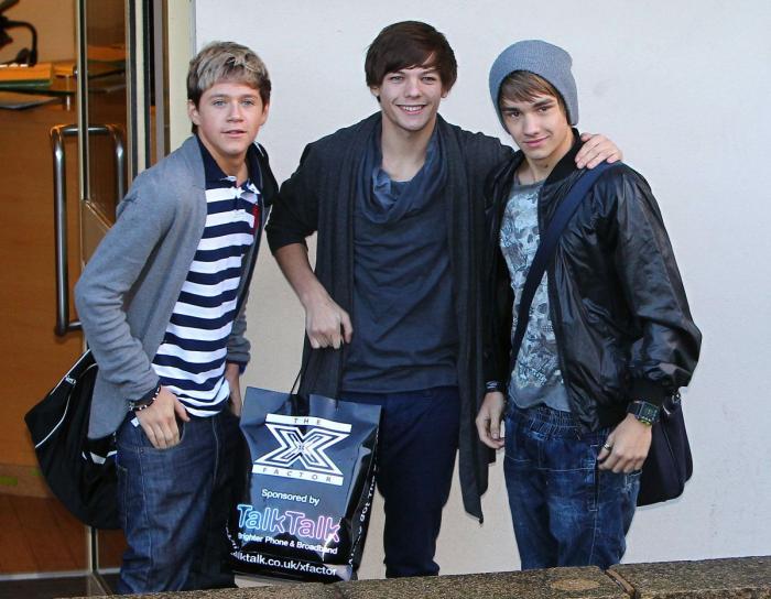 ENCUESTA: One Direction en España, ¿con cuál te quedas de los cinco? (VÍDEO Y FOTOS)