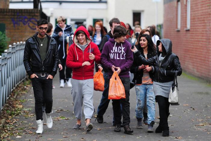 ENCUESTA: One Direction en España, ¿con cuál te quedas de los cinco? (VÍDEO Y FOTOS)