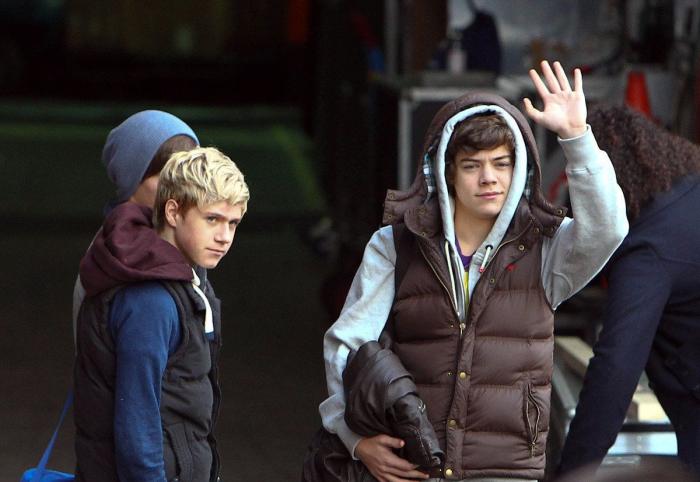 ENCUESTA: One Direction en España, ¿con cuál te quedas de los cinco? (VÍDEO Y FOTOS)