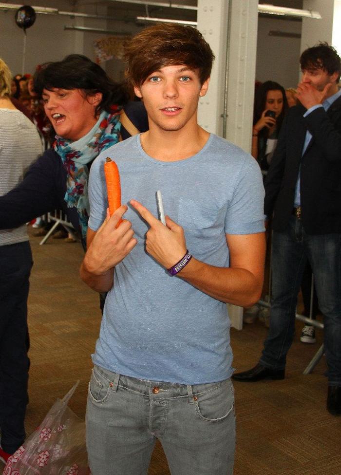 ENCUESTA: One Direction en España, ¿con cuál te quedas de los cinco? (VÍDEO Y FOTOS)