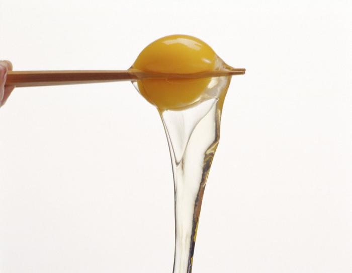 ¿Cuánto aguanta la comida en el frigorífico y en el congelador? (FOTOS)