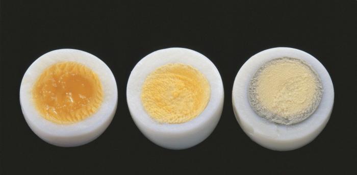 ¿Cuánto aguanta la comida en el frigorífico y en el congelador? (FOTOS)