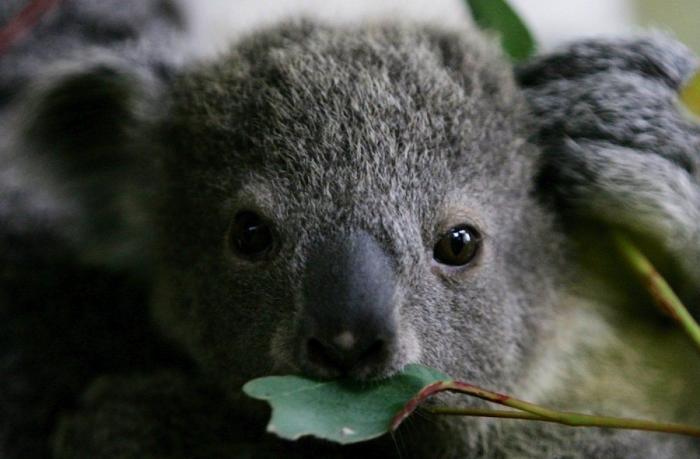 Primark responde a una clienta desconcertada por el peluche que encontró en una tienda