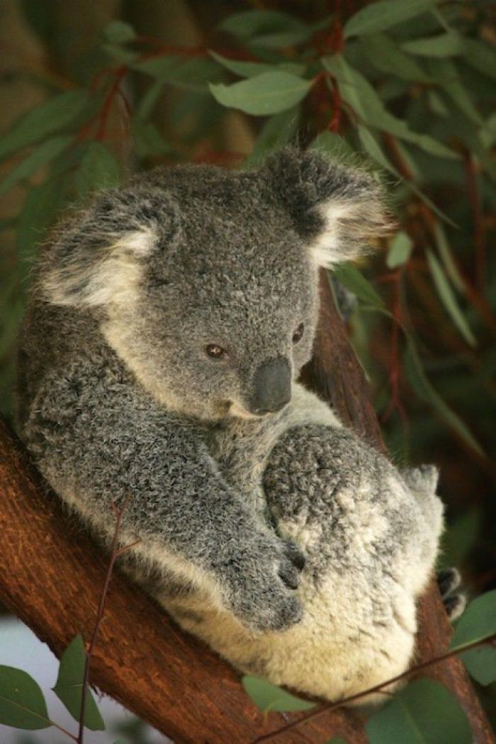 Primark responde a una clienta desconcertada por el peluche que encontró en una tienda