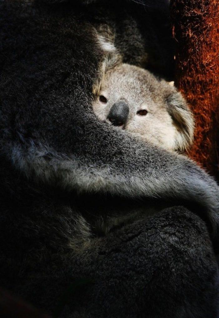 Primark responde a una clienta desconcertada por el peluche que encontró en una tienda