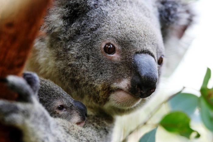 Primark responde a una clienta desconcertada por el peluche que encontró en una tienda