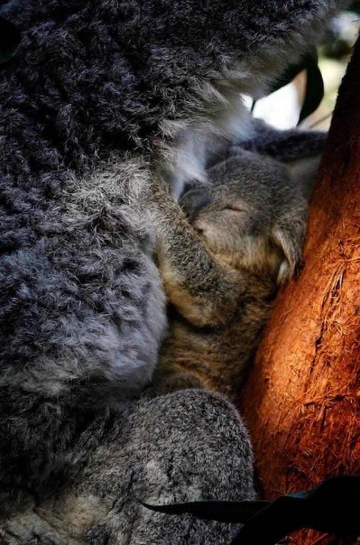 Primark responde a una clienta desconcertada por el peluche que encontró en una tienda