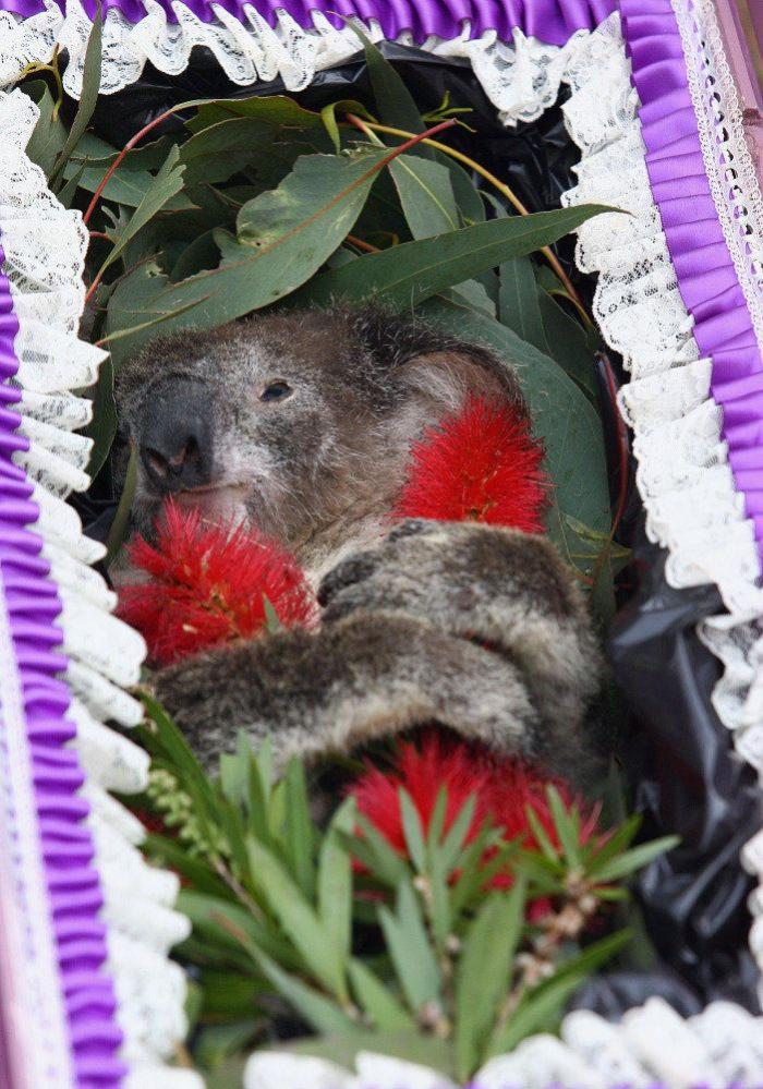 Primark responde a una clienta desconcertada por el peluche que encontró en una tienda