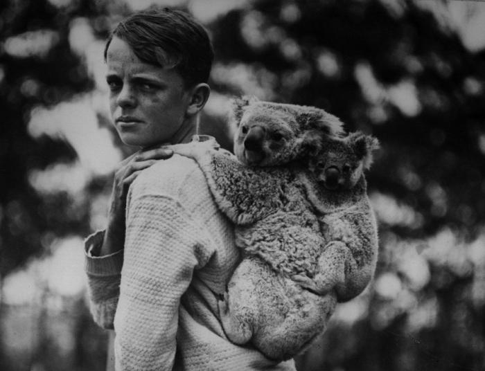 Primark responde a una clienta desconcertada por el peluche que encontró en una tienda