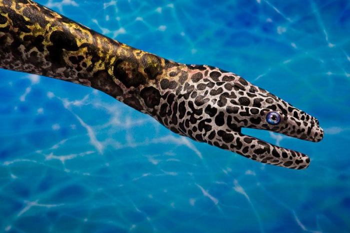 El arte de Claudia Sahuquillo para convertir la piel en lienzo